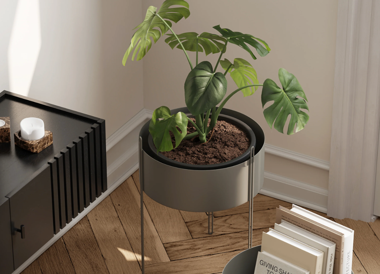 Pots de fleurs d'intérieur