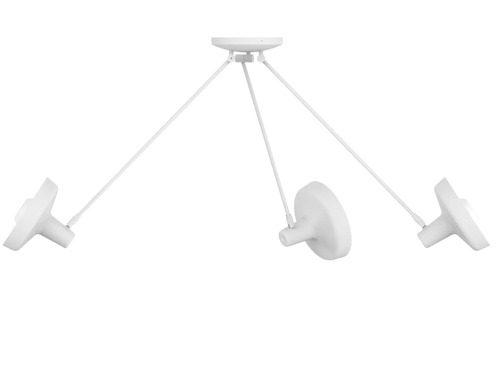 Fluke ceiling light