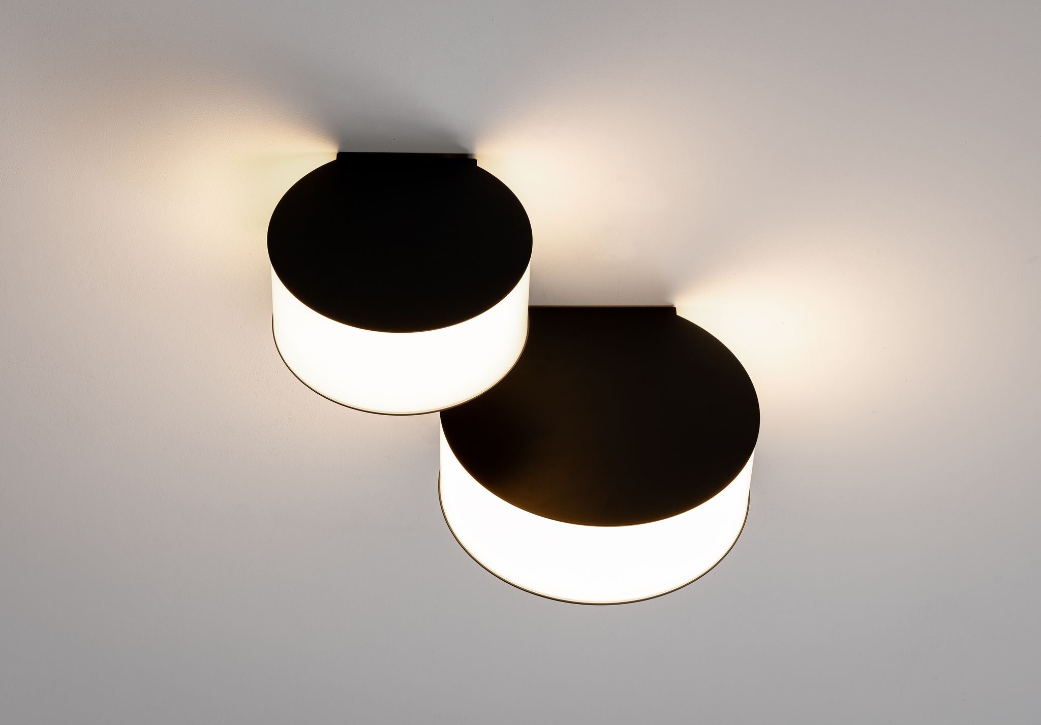 Ili Ili Coney Cone Suspension