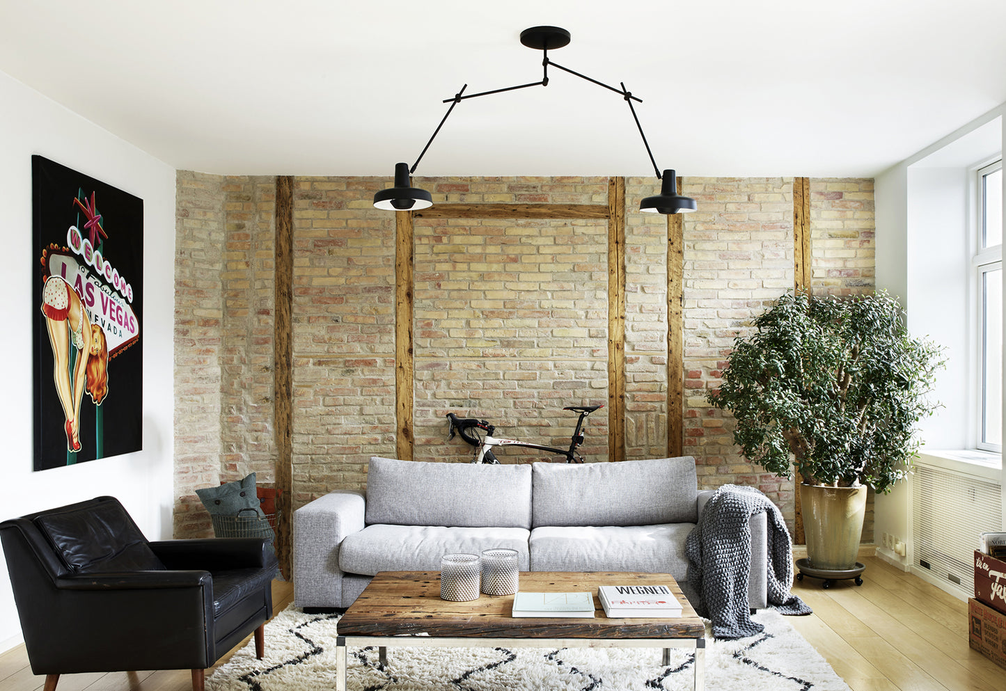 Fluke ceiling light