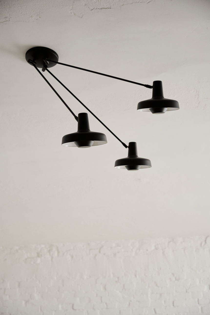 Fluke ceiling light