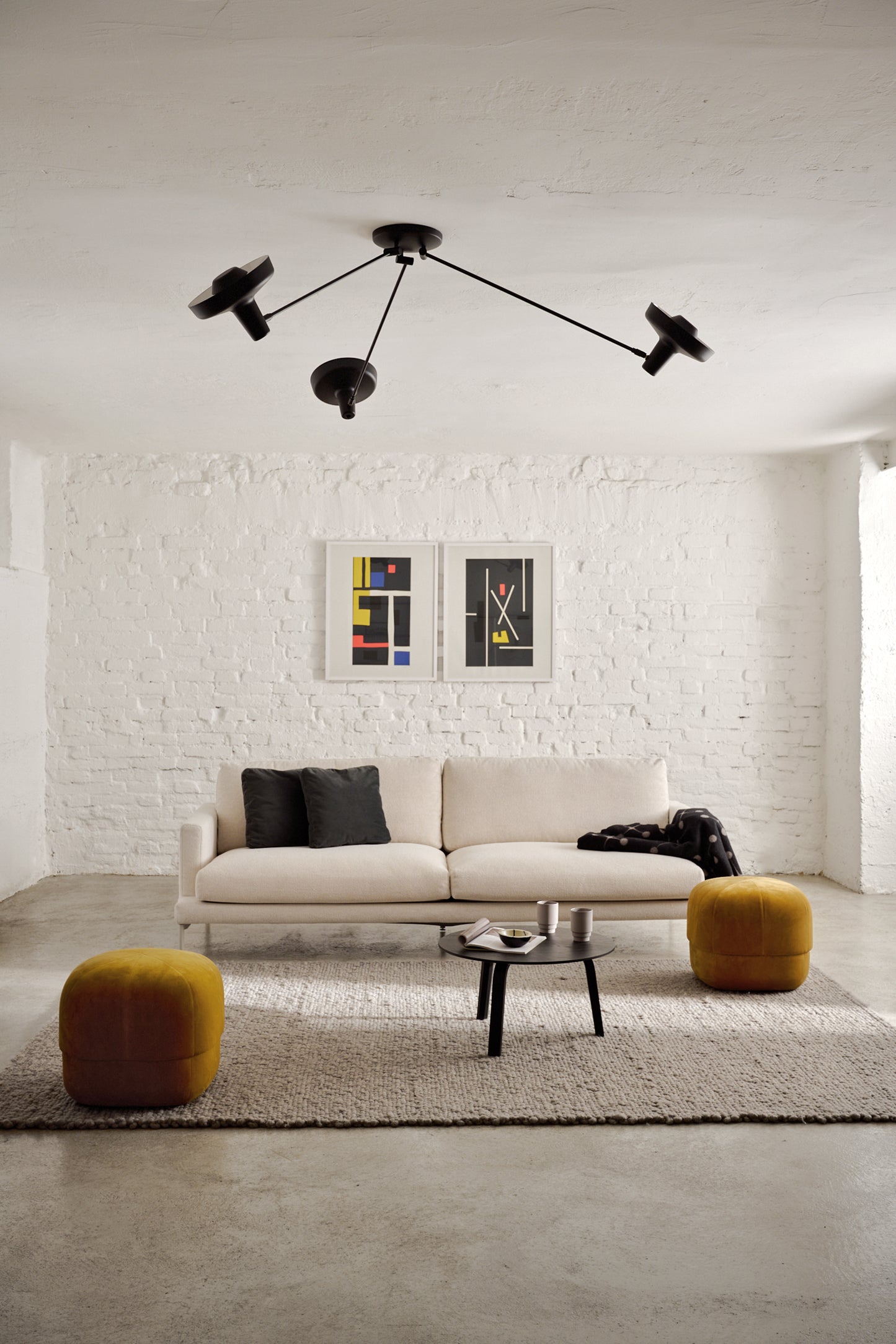 Fluke ceiling light