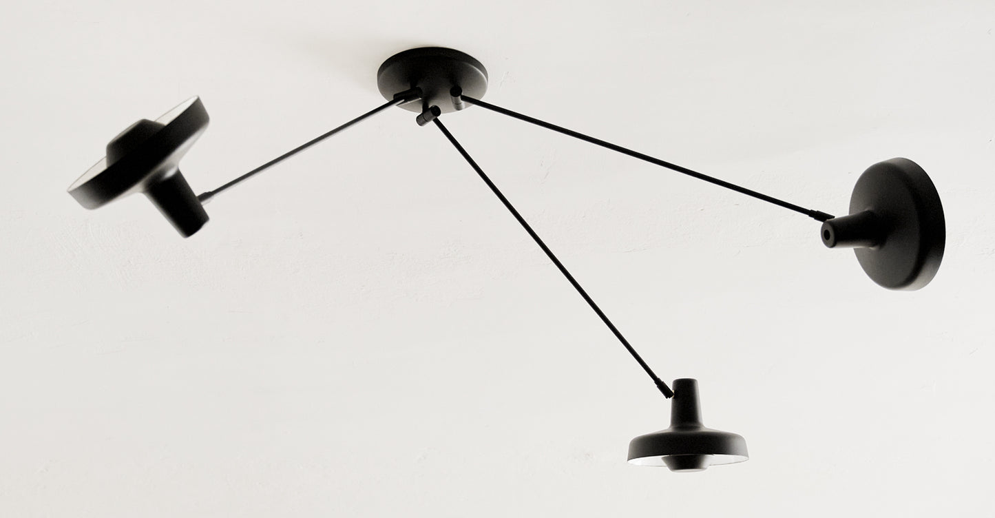 Fluke ceiling light
