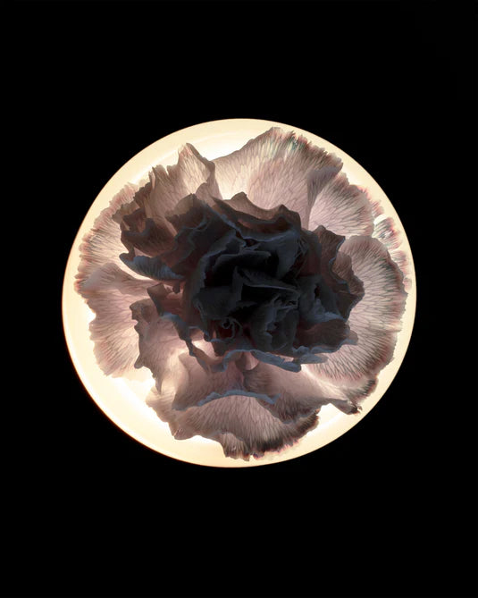 Lara black and white vase/table lamp