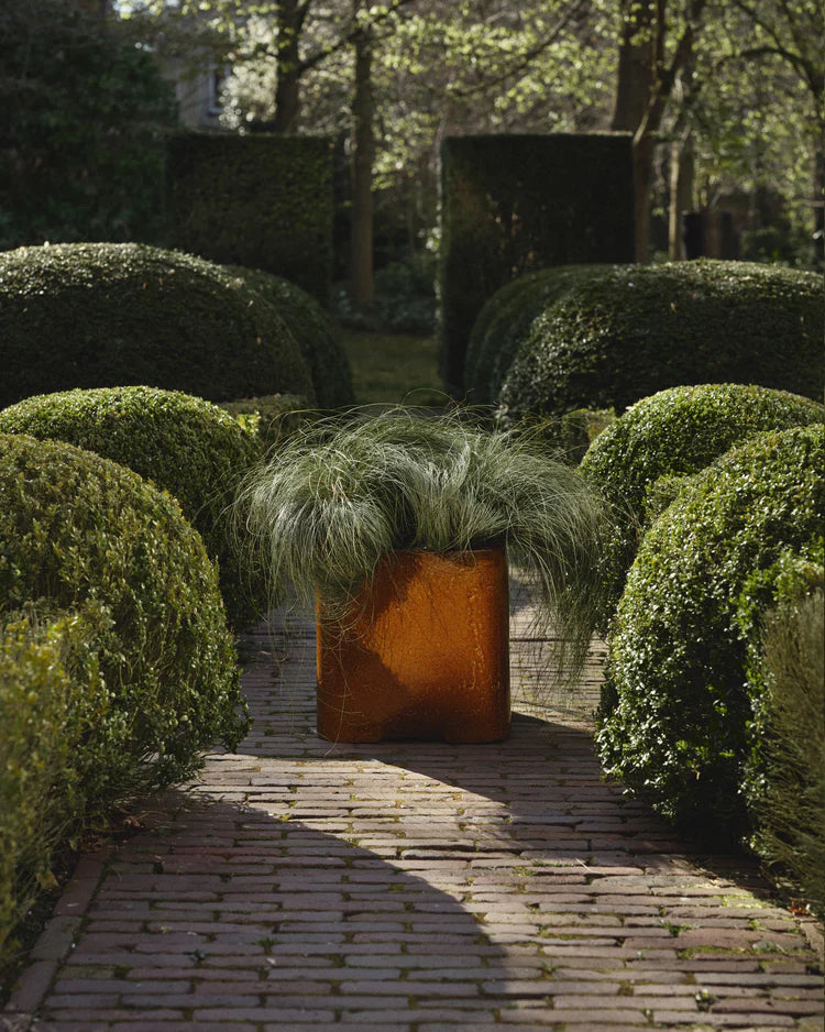 Planter 04 amber Boek