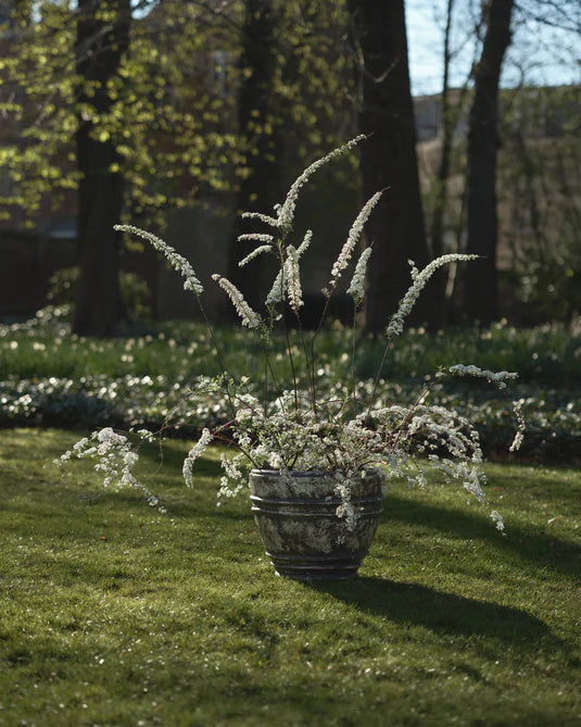 Jardinière 01 L blanc/brun Mesa