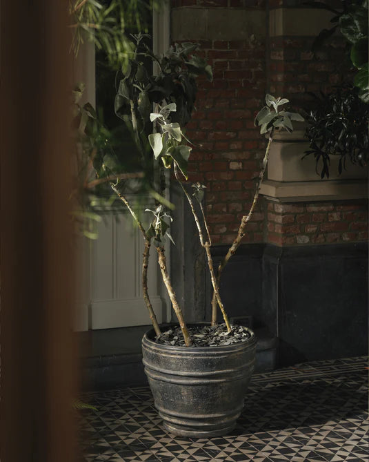 Mesa 01 L zwarte plantenbak