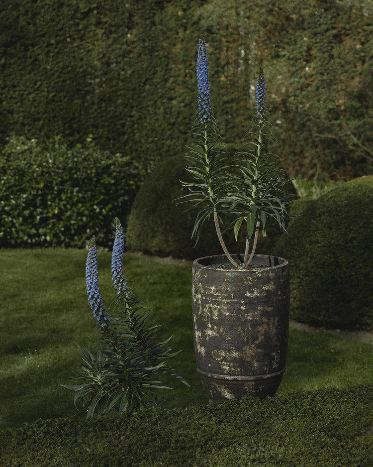 Planter 02 L dark brown Dune