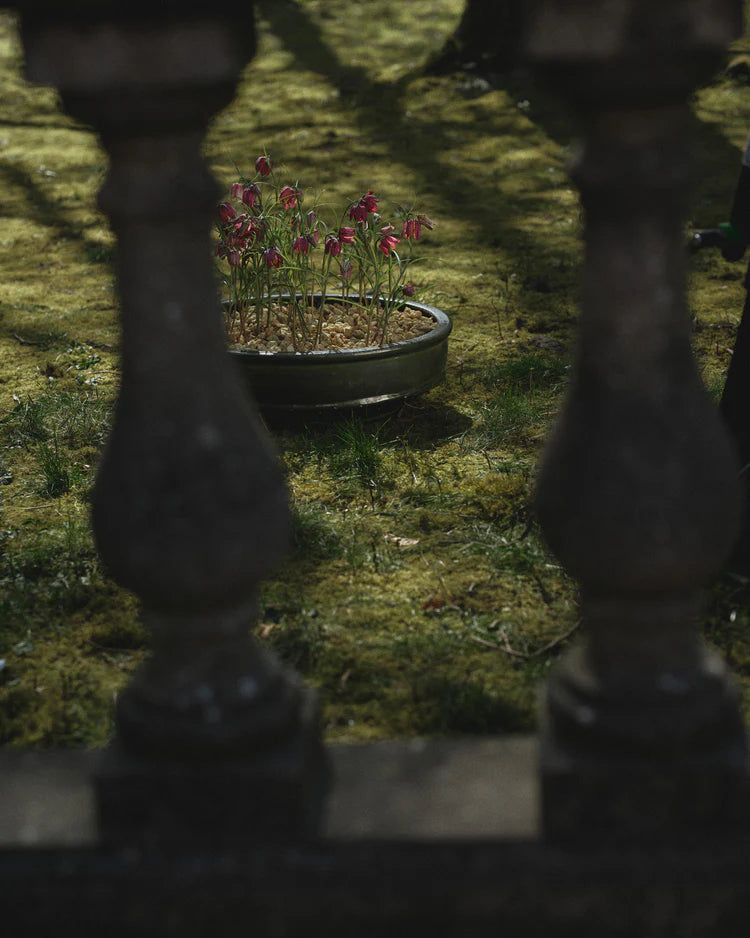 Plant bowl 02 L dark green Dune