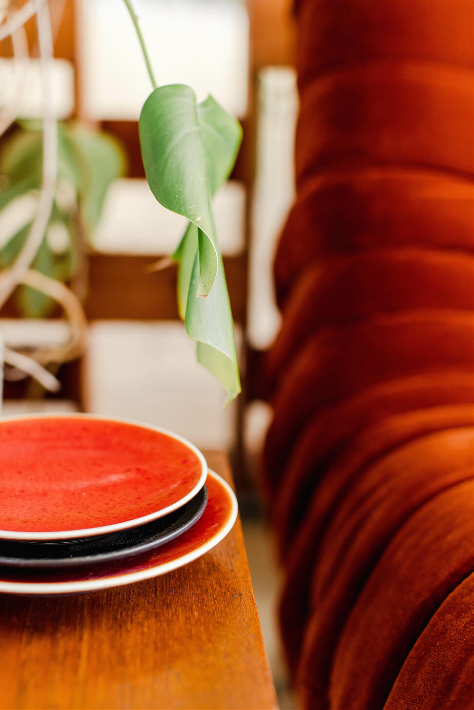 XXS Tourron Orange Plate