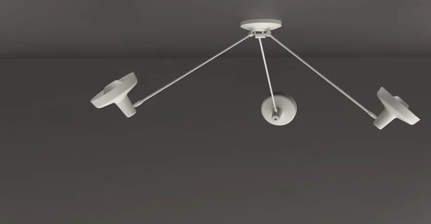 Fluke ceiling light