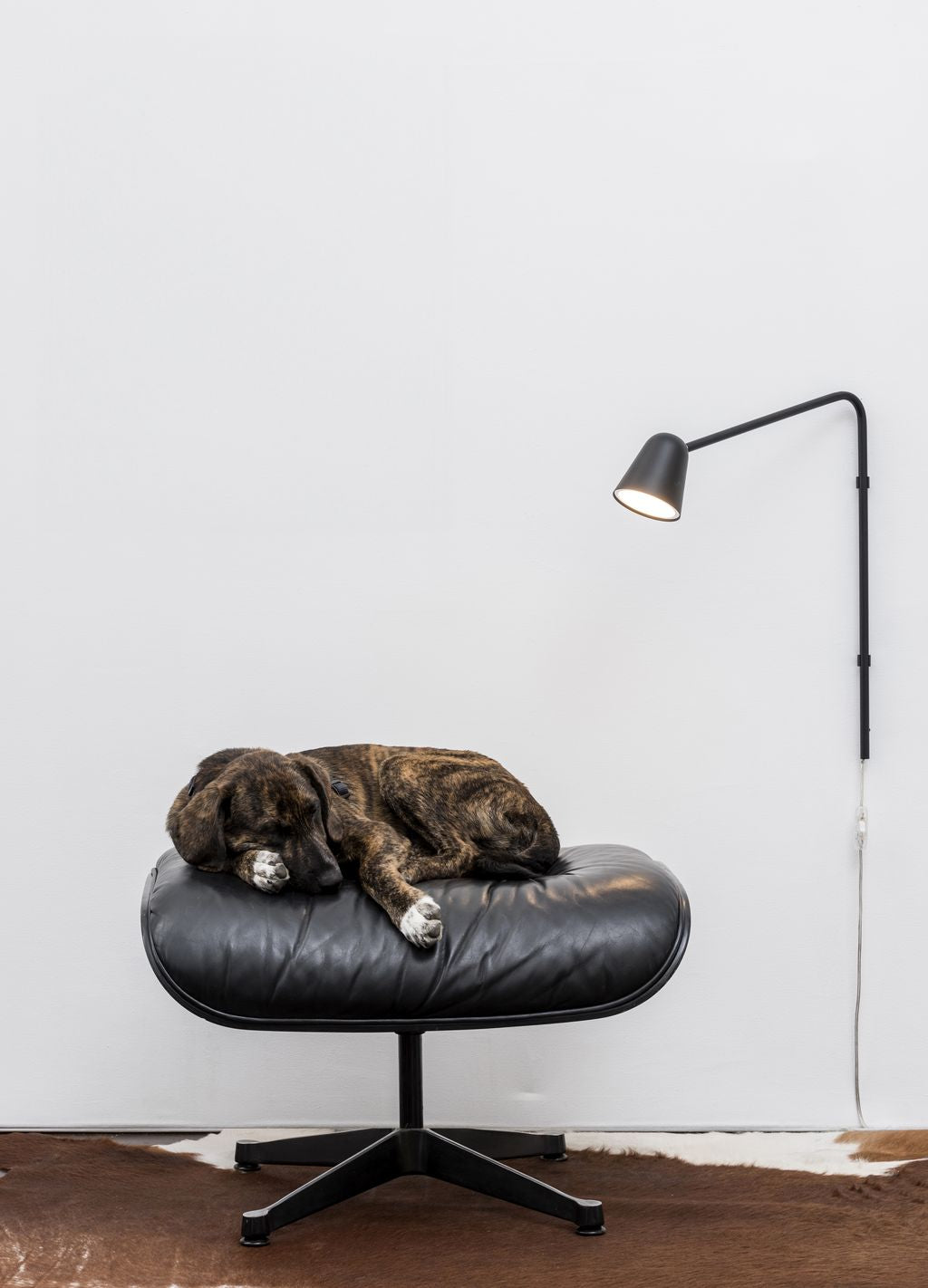 Ili Ili Coney Cone Suspension