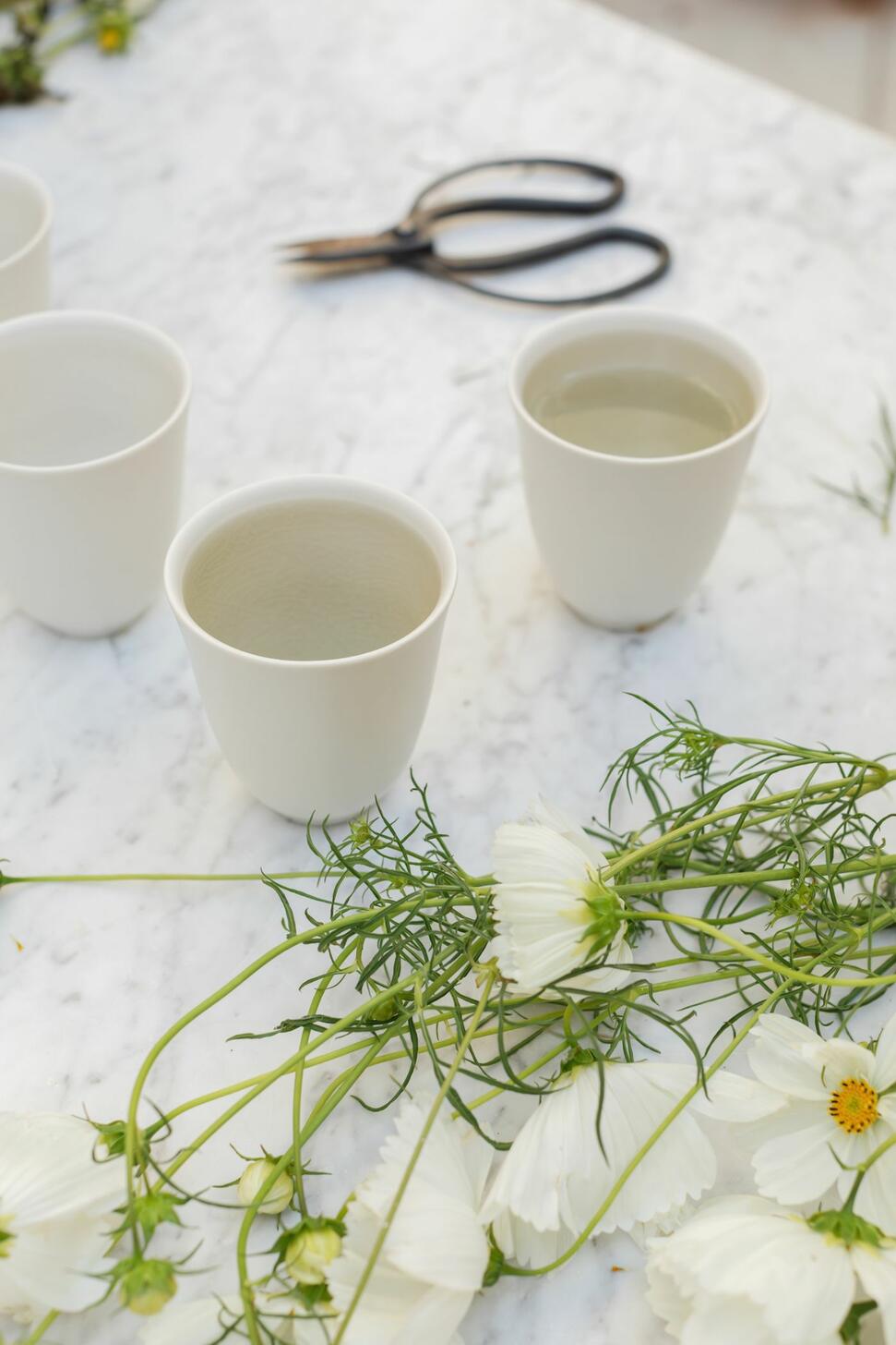 Nero Espresso Cup