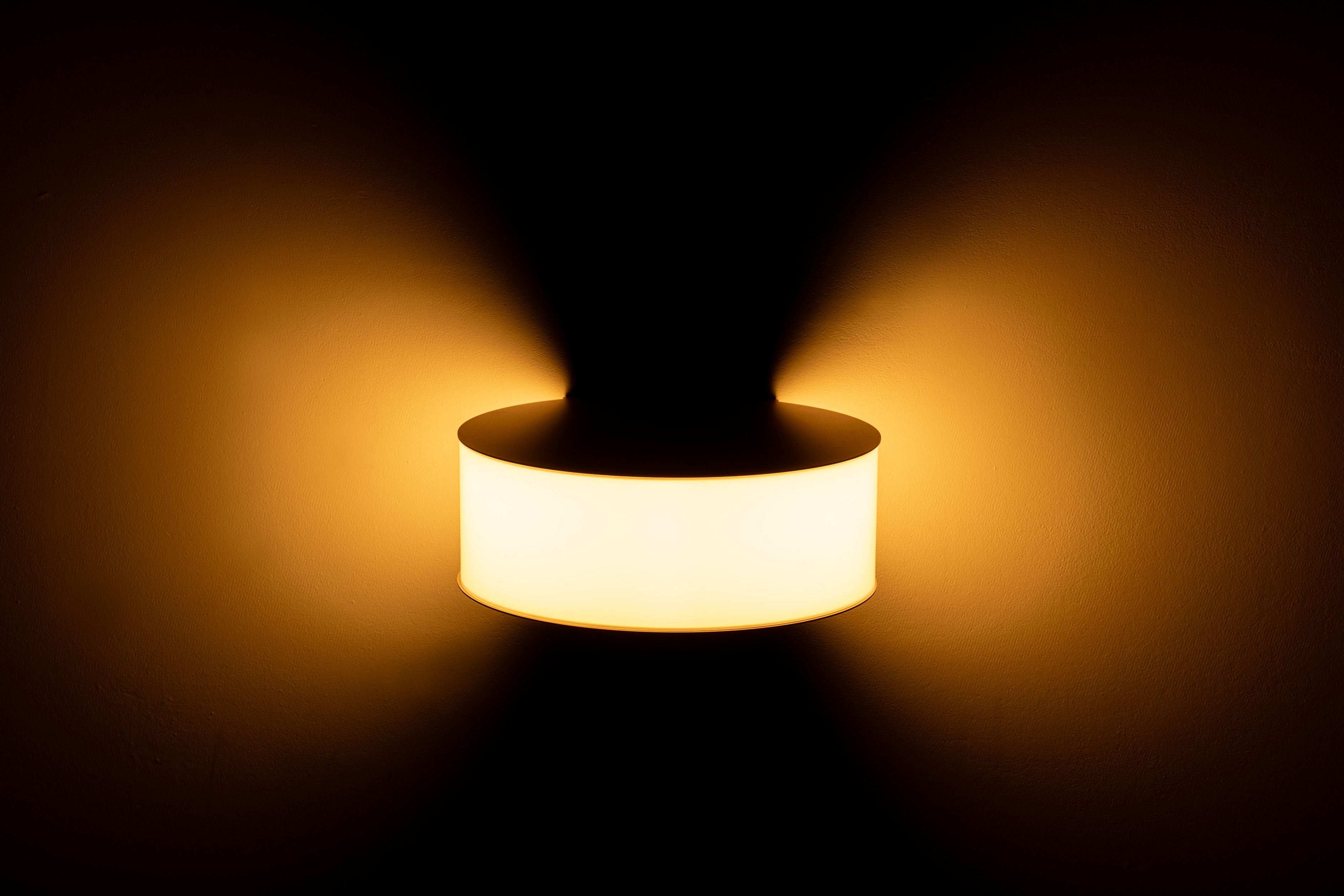 Ili Ili Coney Cone Suspension