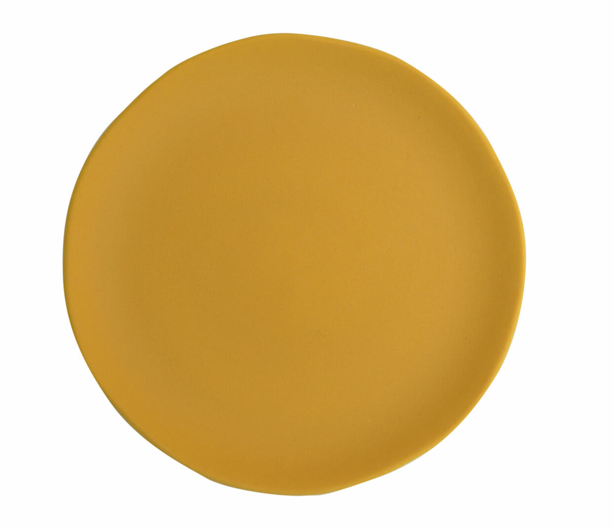 Plate L Maguelone Garden Turmeric