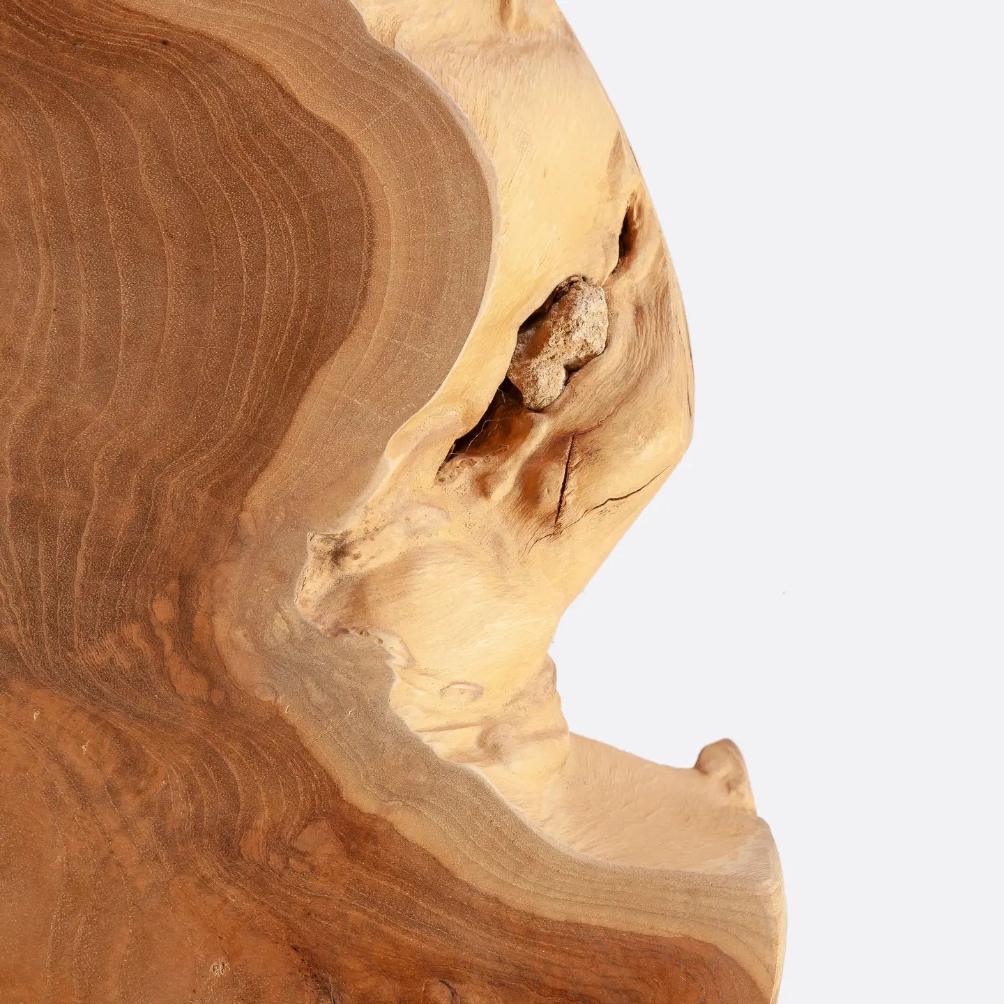 Root wooden coffee table