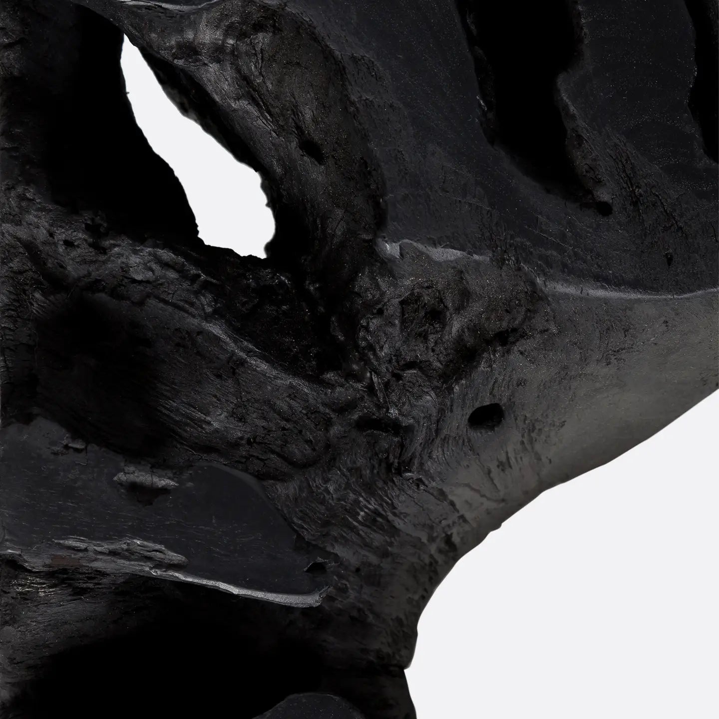 Black Root Coffee Table