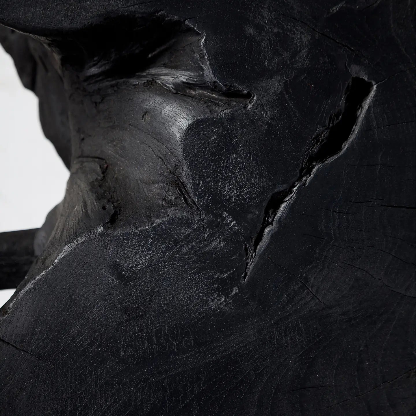 Black Root Coffee Table