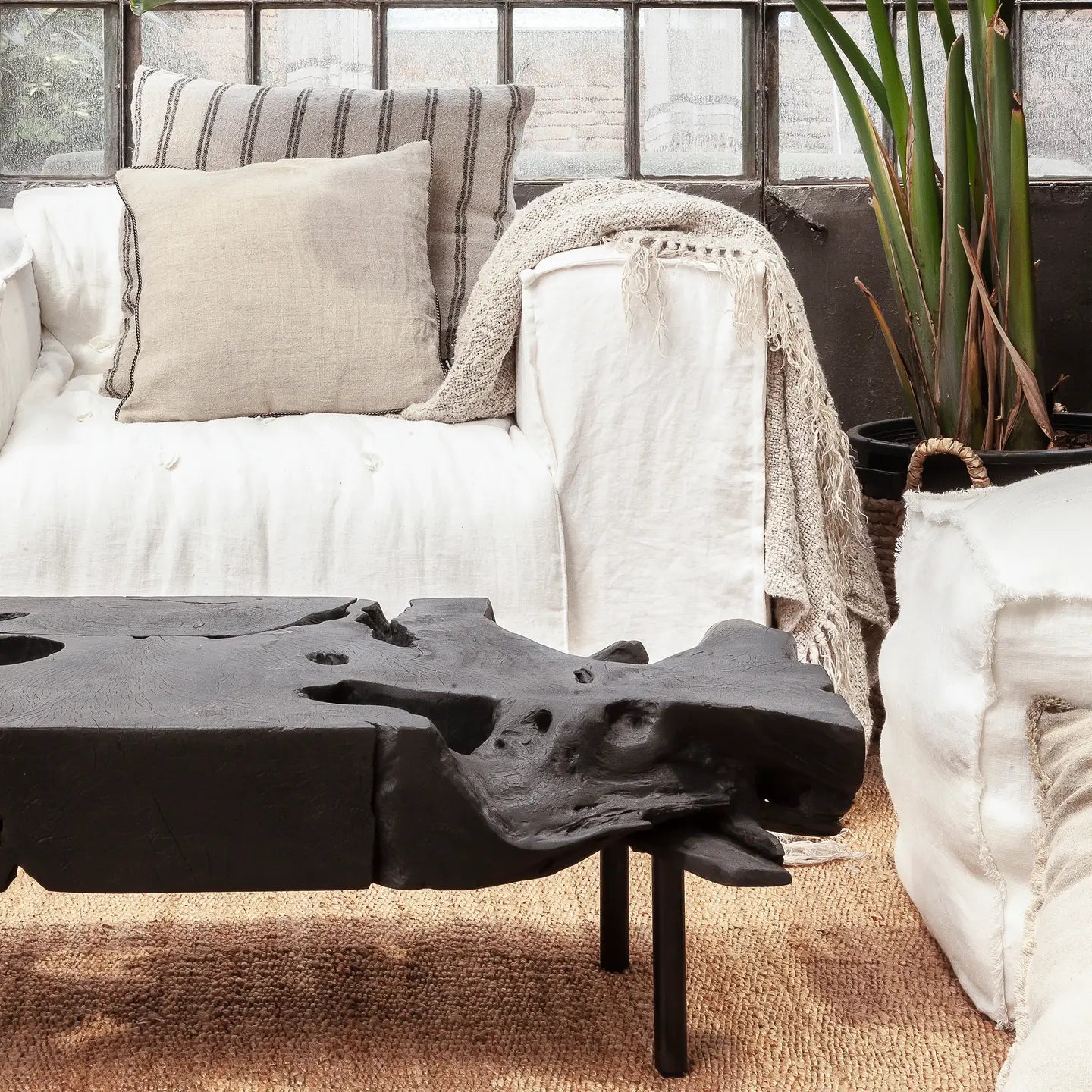 Black Root Coffee Table