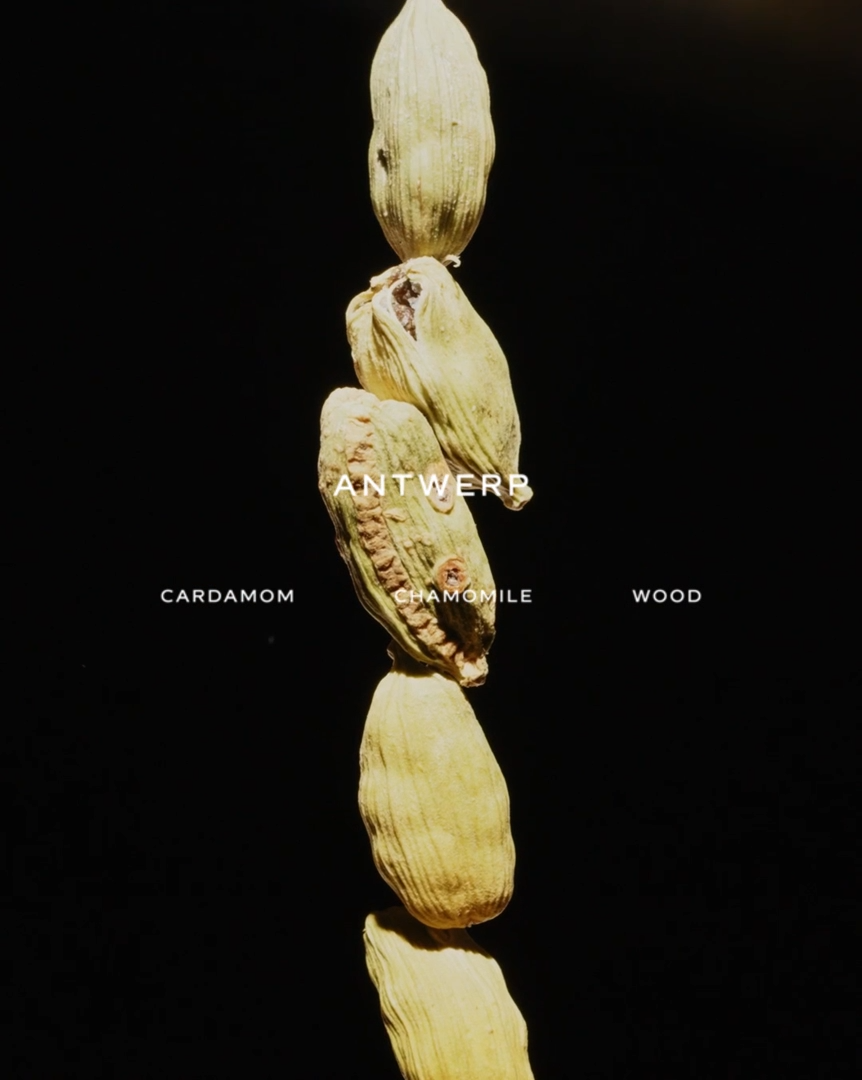 Apollo Candle
