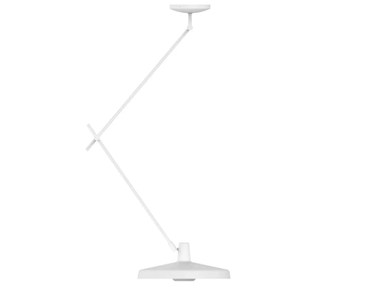 Fluke ceiling light