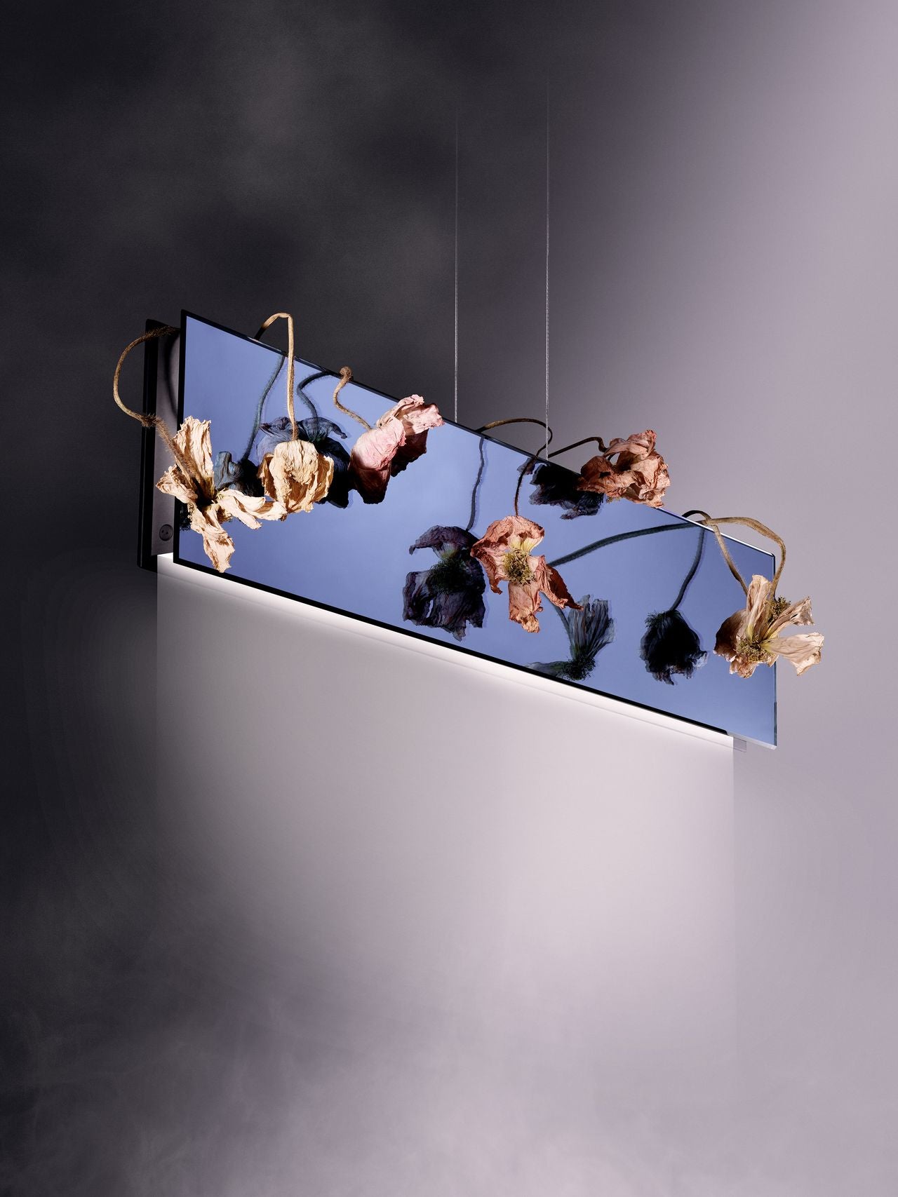 Ili Ili Coney Cone Suspension