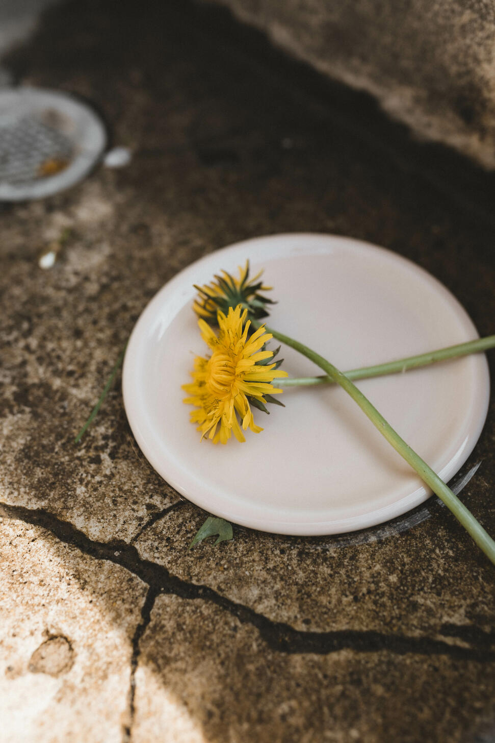 XS Canteen Chalk Plate