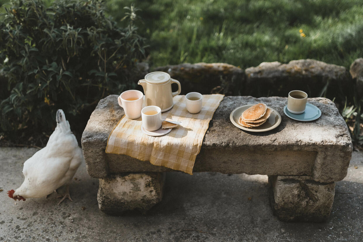 XXS Canteen Pink Blotting Plate