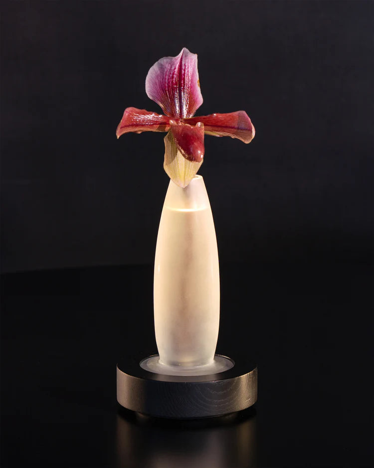 Vase/lampe de table noir blanche Lys 1