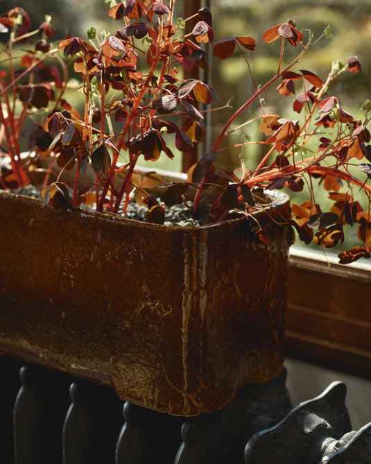 Low planter 04 amber Book