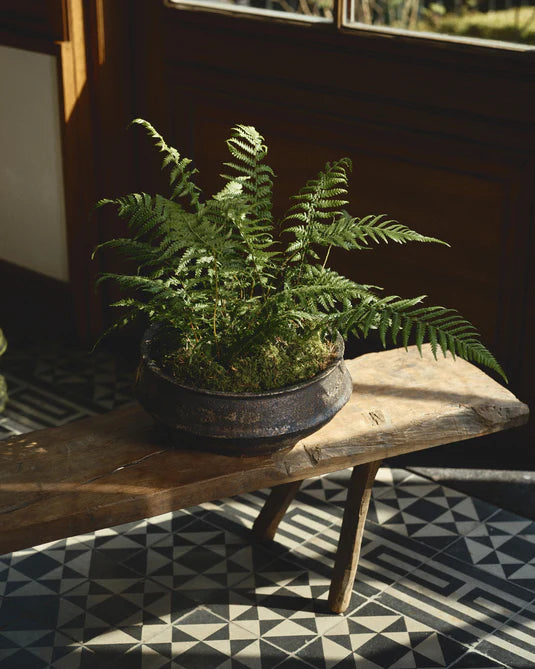 Plant bowl 02 L dark brown Dun