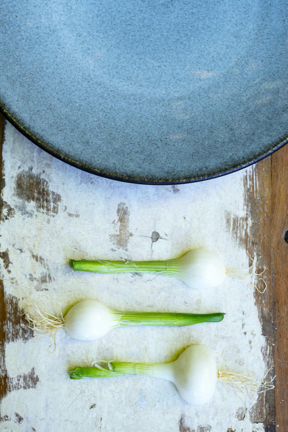 Plaat S Tourron Bark