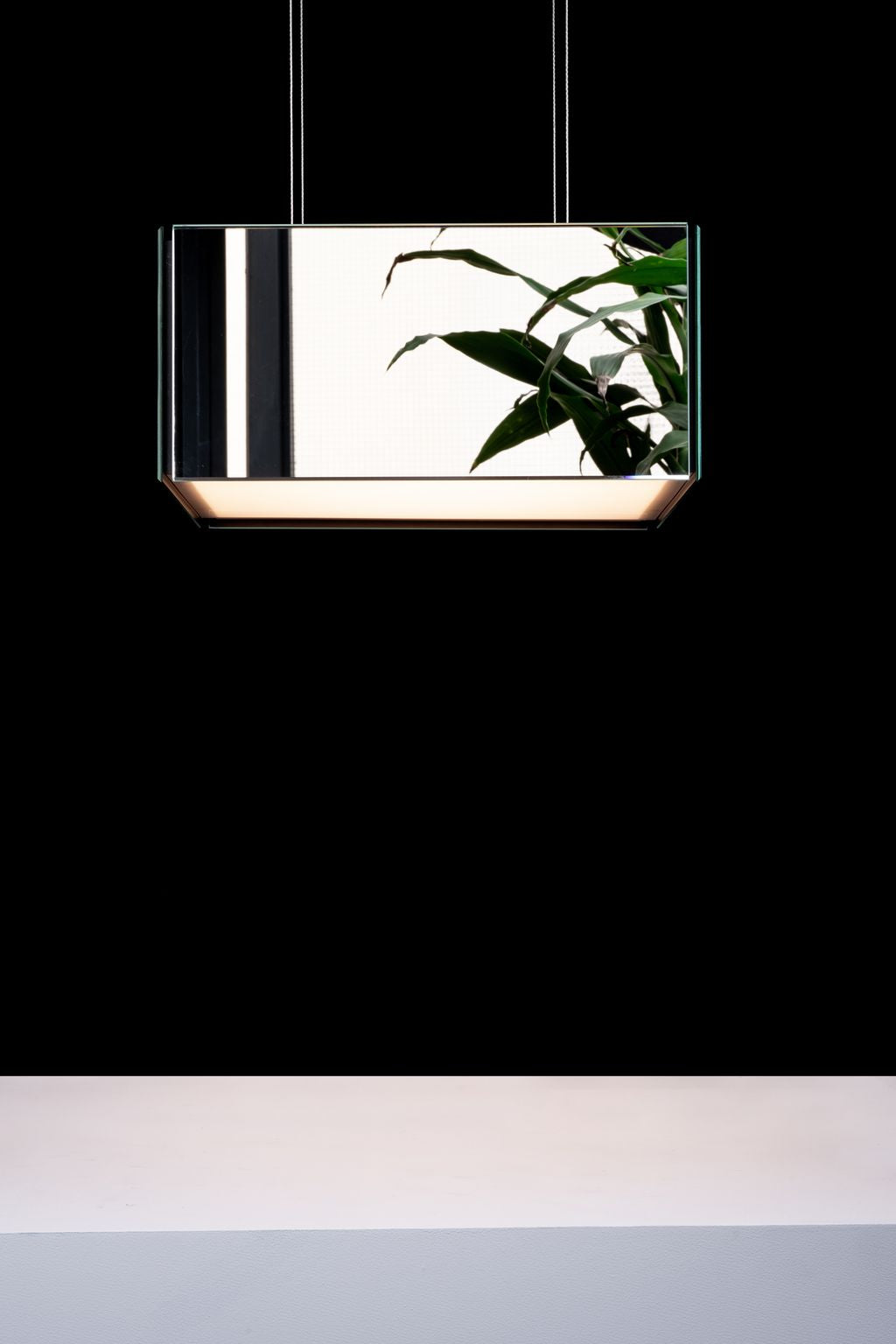 Ili Ili Coney Cone Suspension