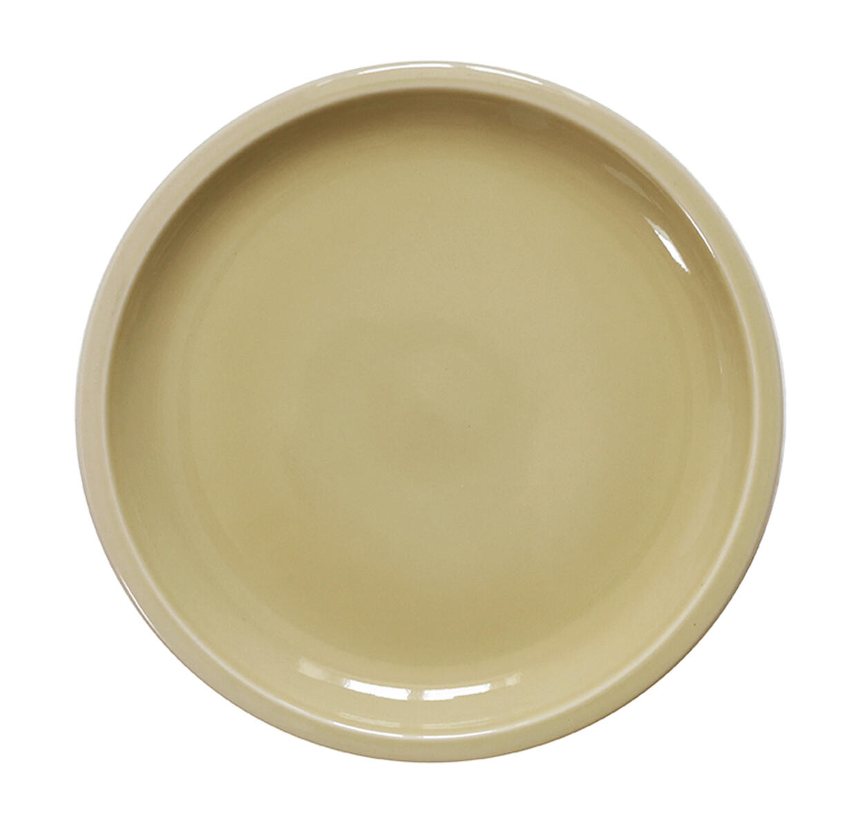XL Cantine Plate Clay Green