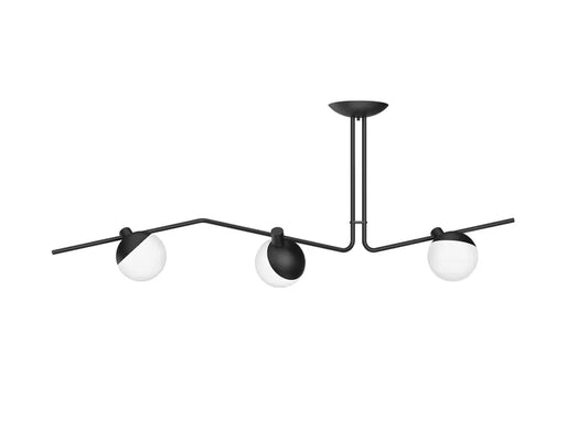 Fluke ceiling light