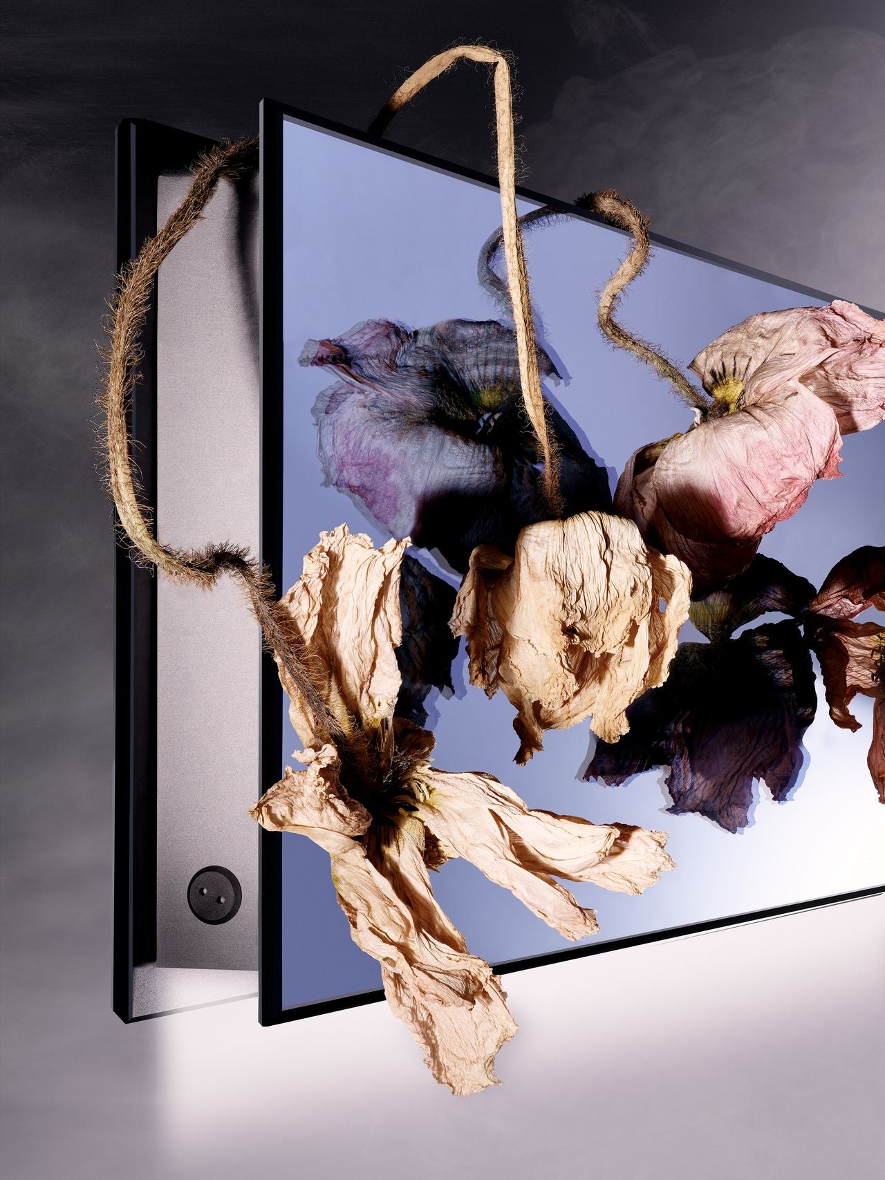 Ili Ili Coney Cone Suspension