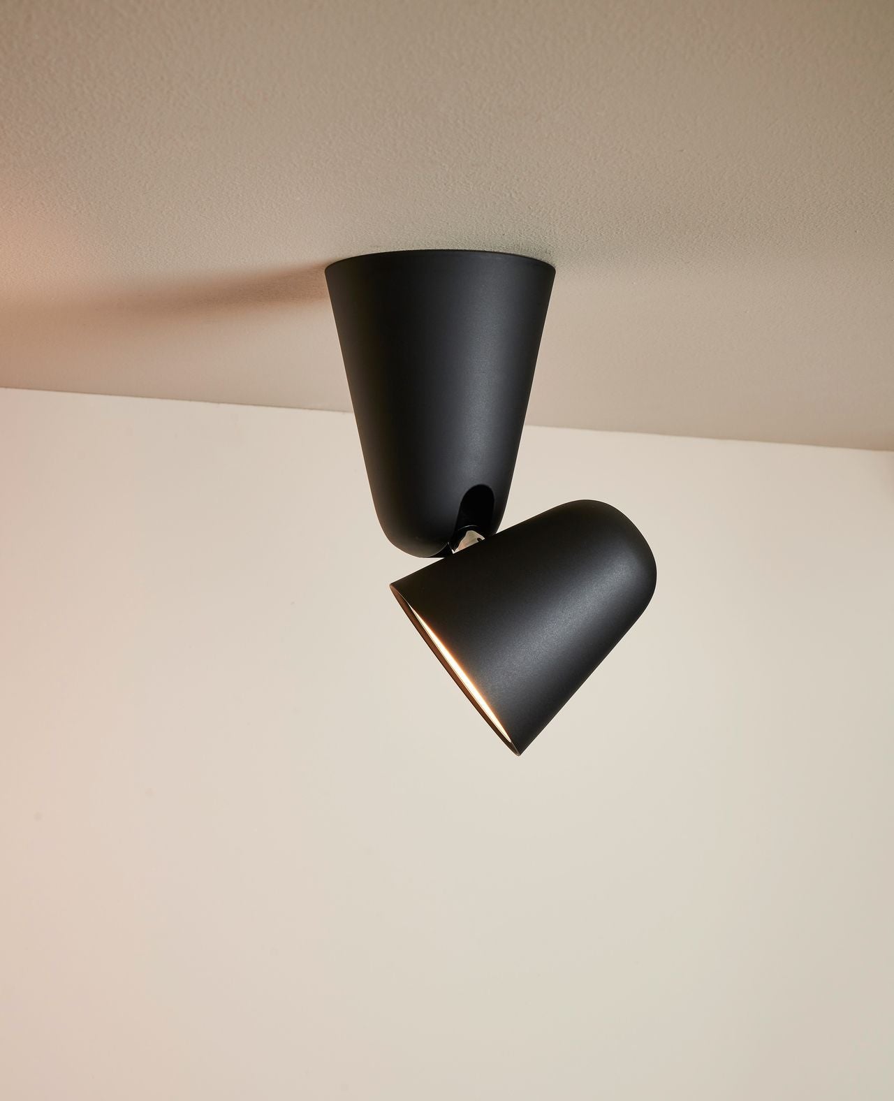 Ili Ili Coney Cone Suspension