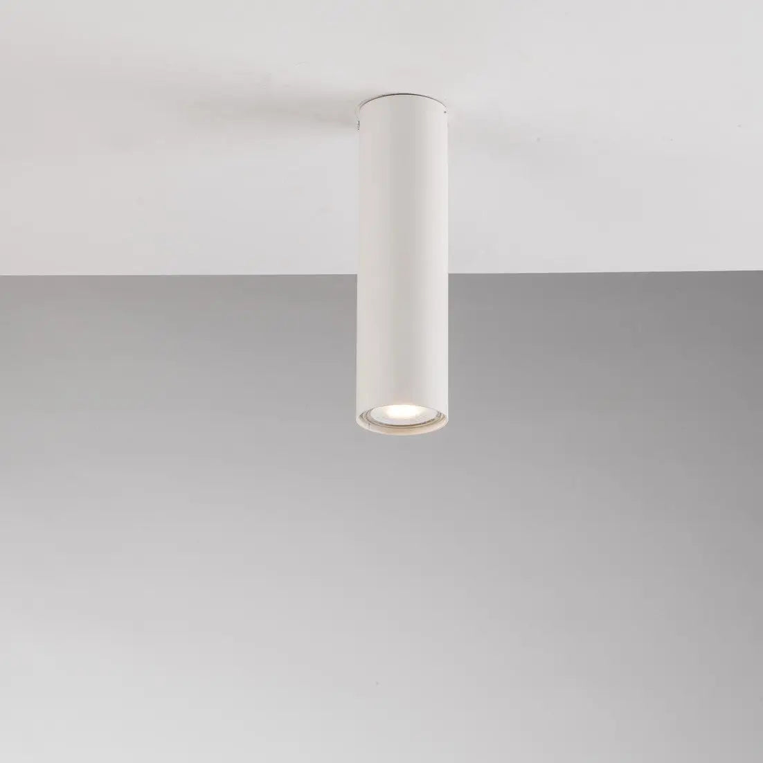 Fluke plafondlamp