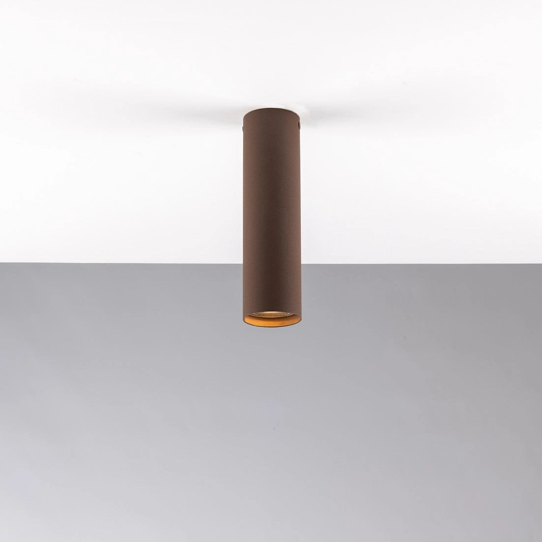 Fluke ceiling light