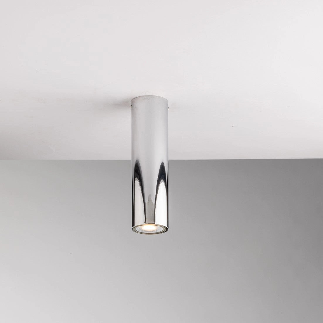 Fluke ceiling light