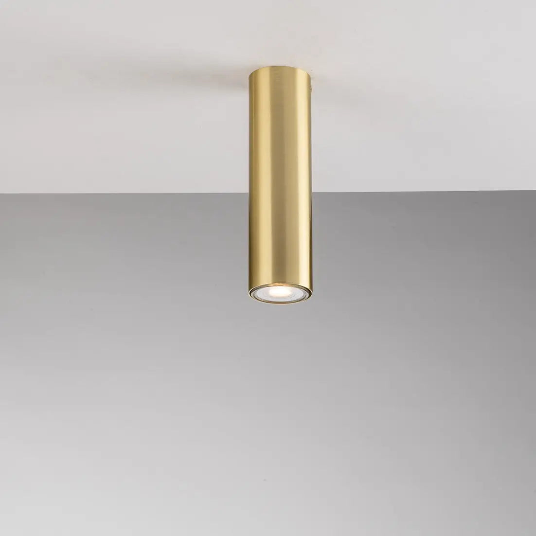 Fluke ceiling light