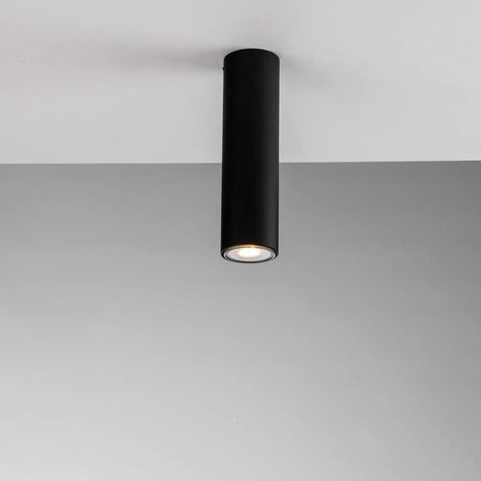 Fluke plafondlamp