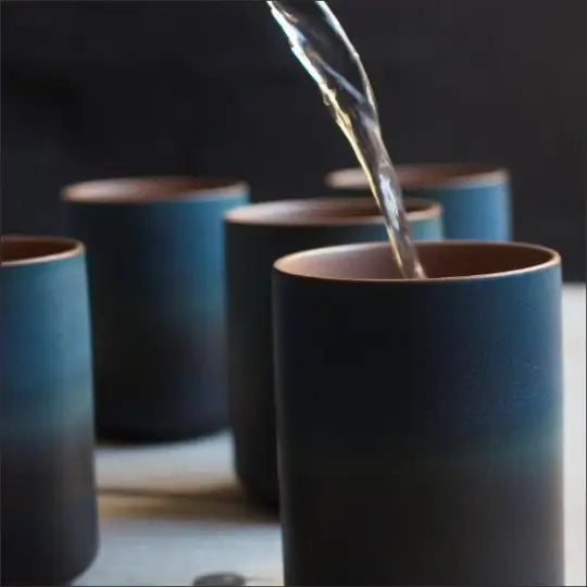 Gohobi mug
